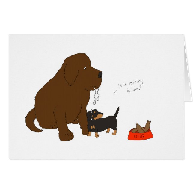 ここに雨が降っていますか。 (正面横)