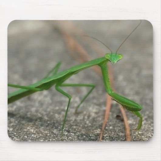 ここに(横の)マウスパッド見ています マウスパッド (正面)