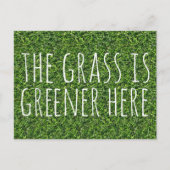 ここの草は緑が多い ポストカード (正面)