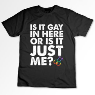 ここはゲイがいるから?それとも私だけ? LGBT Pride Tシャツ