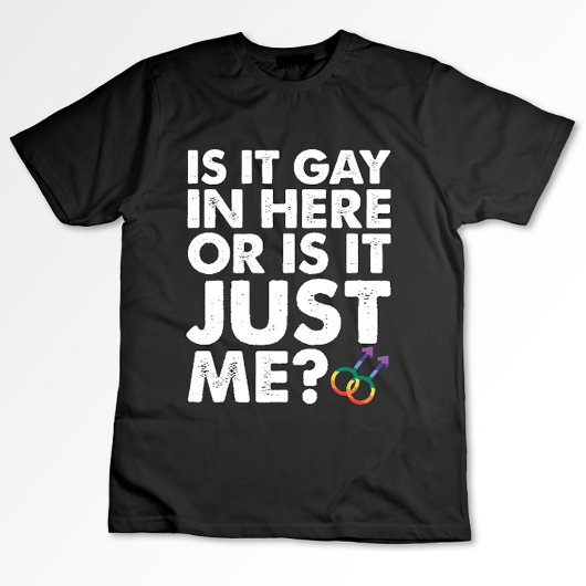 ここはゲイがいるから?それとも私だけ? LGBT Pride Tシャツ