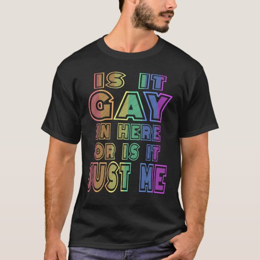 ここはゲイなの?それとも私だけ? レインボー Tシャツ (正面)