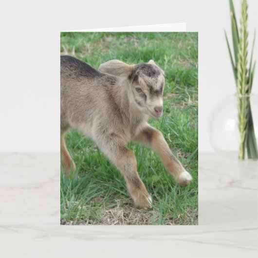 ここサン来ダー カード (正面)