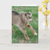 ここサン来ダー カード (黄色い花)