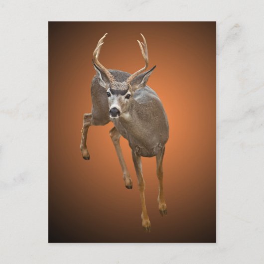 ここストップに戻る ポストカード (正面)