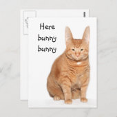 ここバニー・バニー ポストカード (正面/裏面)