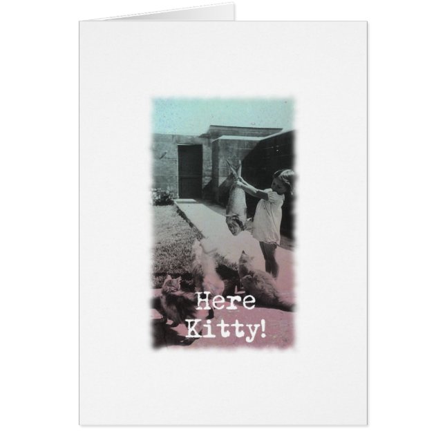 ここ子猫! (正面)