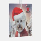 ここ来サタドッグオーナメント ガラスオーナメント (正面右)