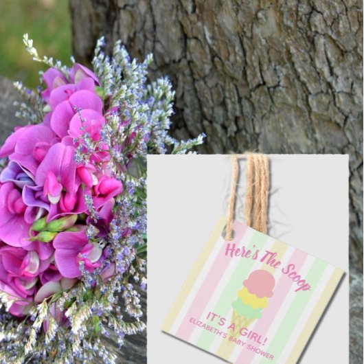 こちらはスクープのアイスクリーム夏のベビーシャワー フェイバータグ