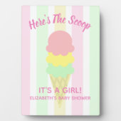 こちらはスクープのアイスクリーム夏のベビーシャワー フォトプラーク (正面)