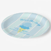 こちらはスクープのアイスクリーム夏のベビーシャワー ペーパープレート (アングル)