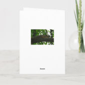 こつるこの中にも可愛いリス カード (裏面)