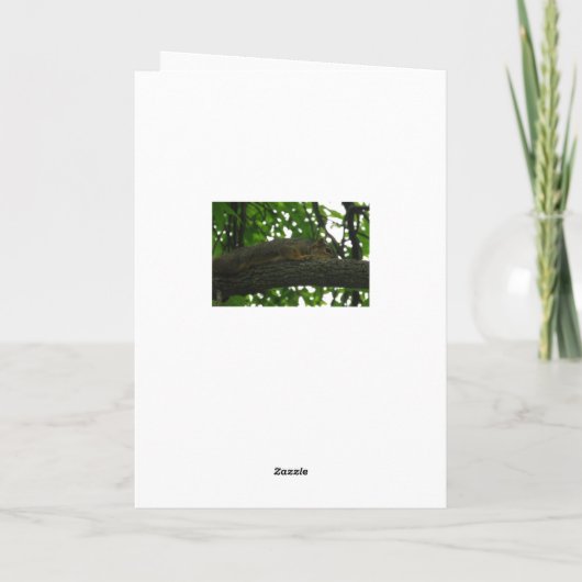 こつるこの中にも可愛いリス カード (裏面)