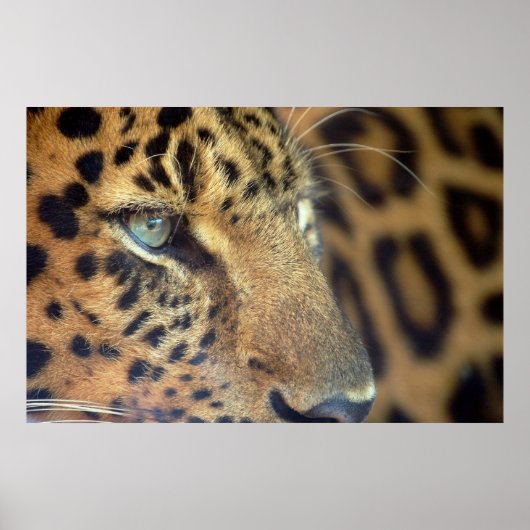 ことわざさようなら… ポスター (正面)