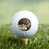 ことわざの恵祈み ゴルフボール (インサイチュ 木)