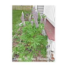 ことわざハイウィスコンシン