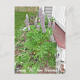 ことわざハイウィスコンシン ポストカード