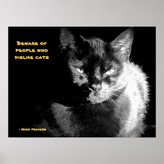 ことわざ付きの輝く黒猫 ポスター (正面)
