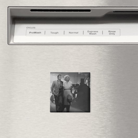 ことわざ送別 マグネット (インサイチュ (食洗機))