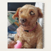 このに犬の写真を追加カスタム プランナー手帳 (裏面)