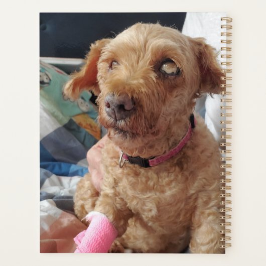 このに犬の写真を追加カスタム プランナー手帳 (裏面)