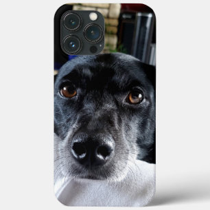 このに犬の写真を追加カスタム iPhone 13 PRO MAXケース