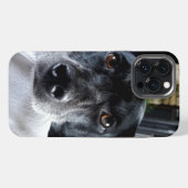 このに犬の写真を追加カスタム iPhoneケース (裏面横)