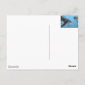 このはが違うきに2匹のイルカ ポストカード (裏面)