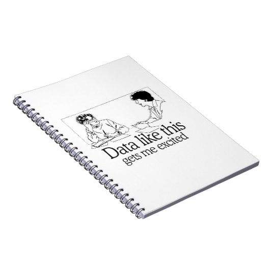 このようなデータは私を刺激しました得ます ノートブック (右側)