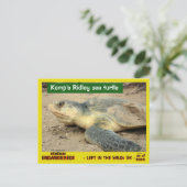 このウミガメは消える危険がある – ポスト ポストカード (スタンド正面)