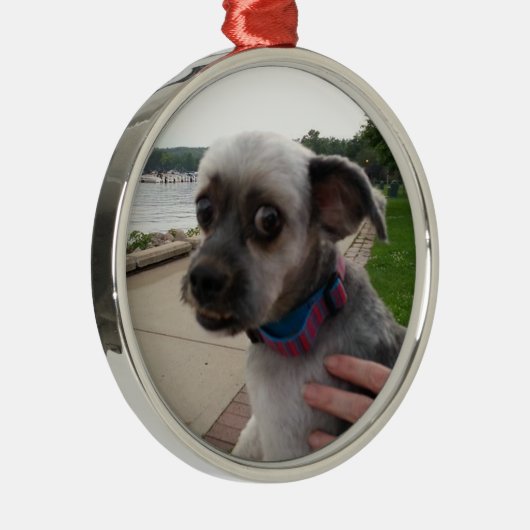 このオーナメントに犬の写真を追加 メタルオーナメント (右)