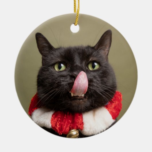 このキスおもしろい猫の舌 セラミックオーナメント (正面)