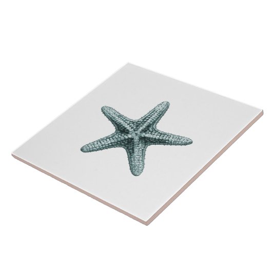 このクラシックで旧式な印刷の海のヒトデのdesi タイル (側面)