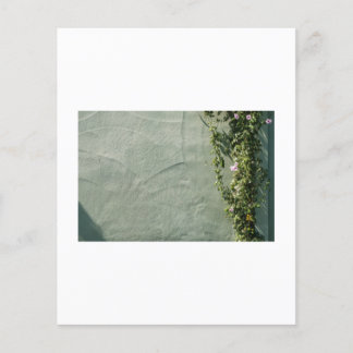 このシリーズは、英国の通りとpのハートを取り込んでいる