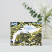 "このシーズンアップ北、Mn冬の休日 ポストカード (スタンド正面)