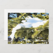 "このシーズンアップ北、Mn冬の休日 ポストカード (正面/裏面)