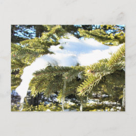 "このシーズンアップ北、Mn冬の休日 ポストカード