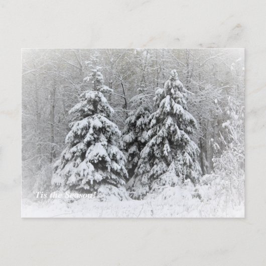 "このシーズンアップ北、Mn冬の休日 ポストカード (正面)