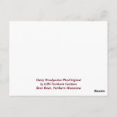 "このシーズンアップ北、Mn冬の休日 ポストカード (裏面)