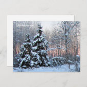 "このシーズンアップ北、Mn冬の休日 ポストカード (正面/裏面)