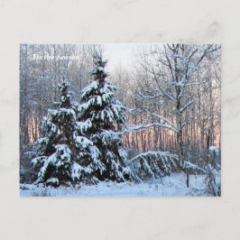 "このシーズンアップ北、Mn冬の休日 ポストカード