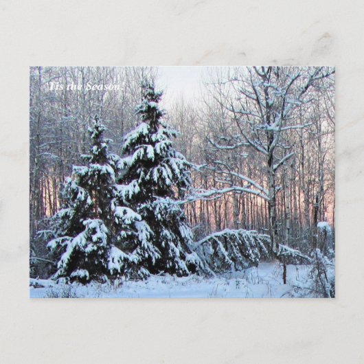"このシーズンアップ北、Mn冬の休日 ポストカード (正面)