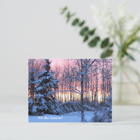 "このシーズンアップ北、Mn冬の休日 ポストカード (スタンド正面)