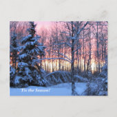 "このシーズンアップ北、Mn冬の休日 ポストカード (正面)