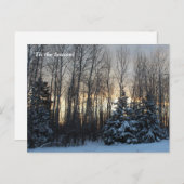 "このシーズンアップ北、Mn冬の休日 ポストカード (正面/裏面)