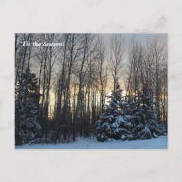 "このシーズンアップ北、Mn冬の休日 ポストカード