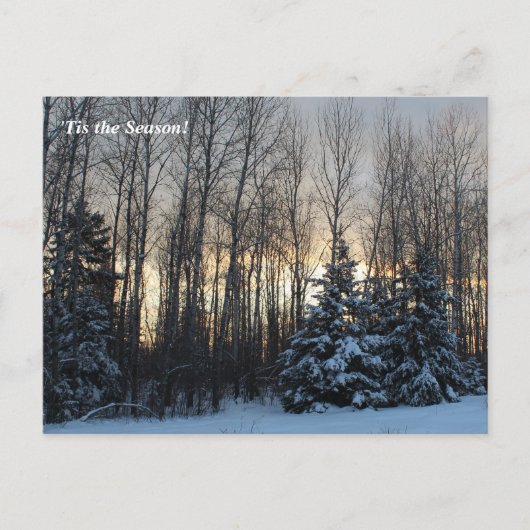 "このシーズンアップ北、Mn冬の休日 ポストカード (正面)