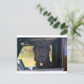 このジープは私のものだ ポストカード (スタンド正面)