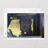 このジープは私のものだ ポストカード (正面/裏面)