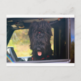 このジープは私のものだ ポストカード